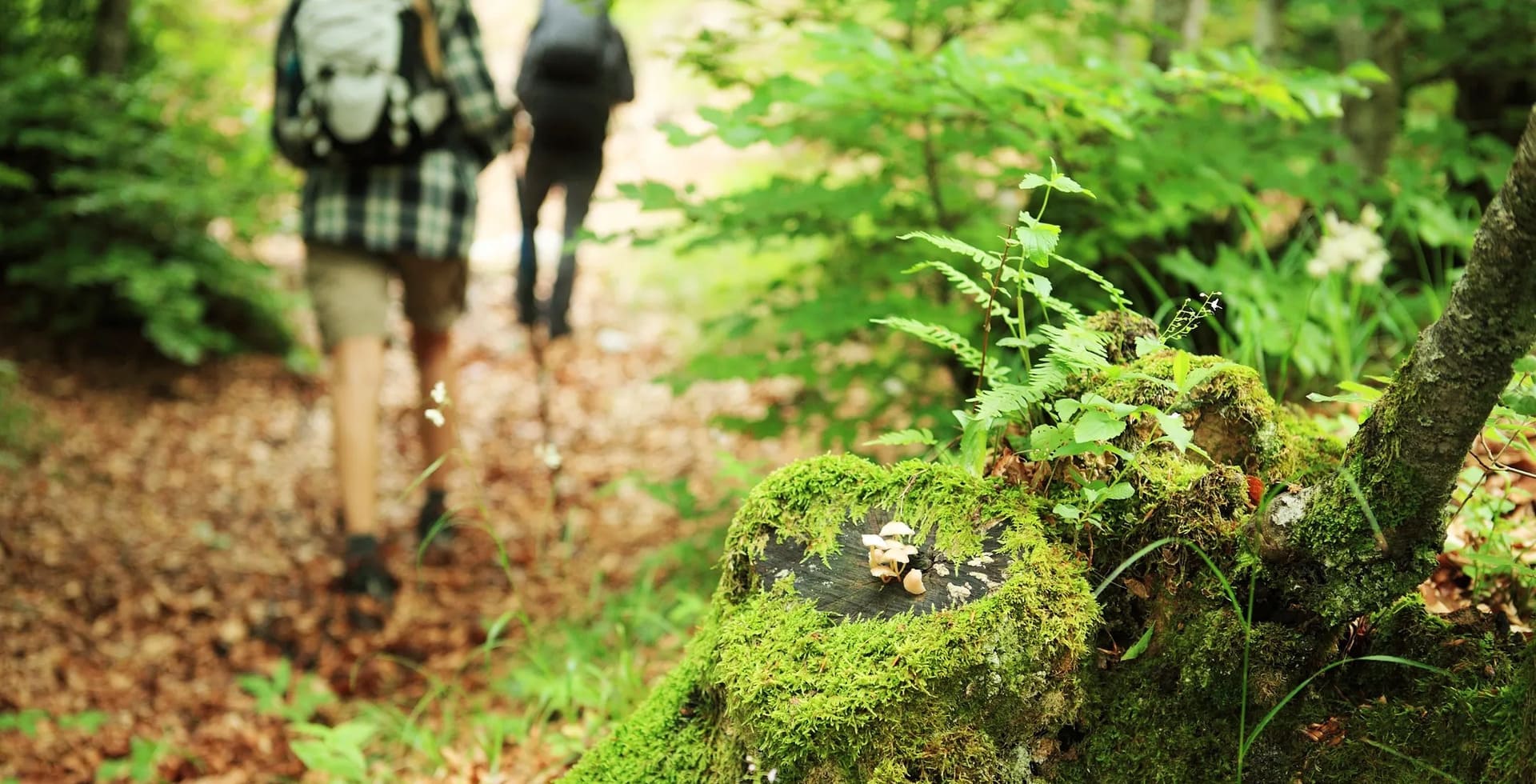 Donner du sens à son travail en analysant son comportement lors de Rando Coaching d'alignement en outdoor aux cotés de François LE HIR