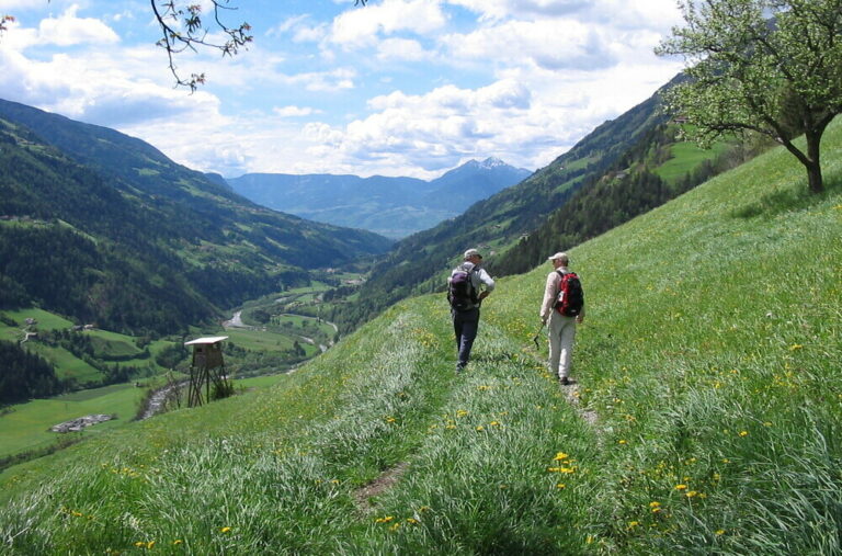 Développez votre résilience face aux imprévus avec le l'Outdoor Coaching en marchant