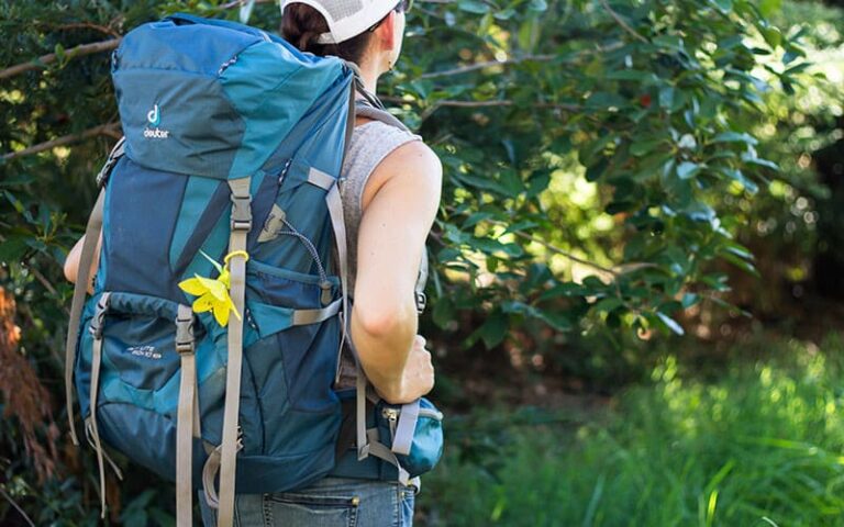 Améliorer votre clarté et prise de décision grâce au Coaching outdoor