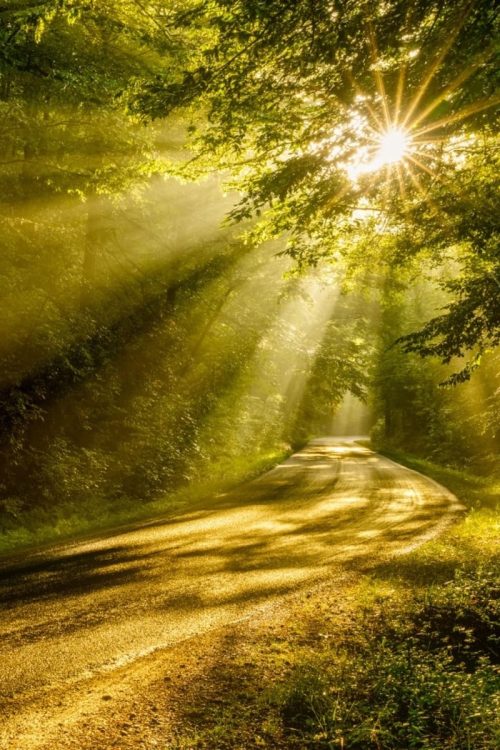 Une marche en pleine nature et développement personnel par un Rando Coaching outdoor