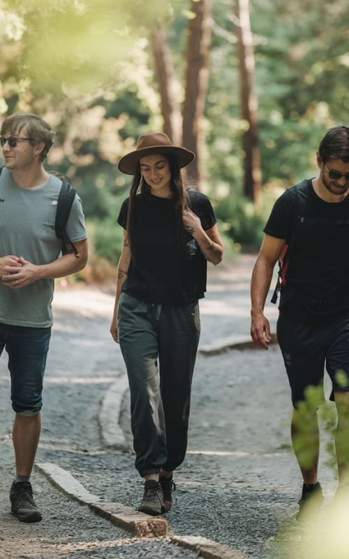 coaching-en-randonnee-en-cevenne-pour-un-alignement en marchant