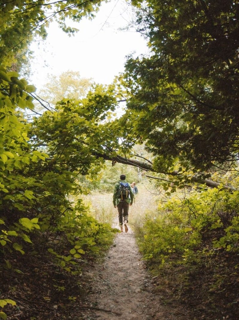 Le coaching en randonnée en cevennes pour faire le point sur ses décisions